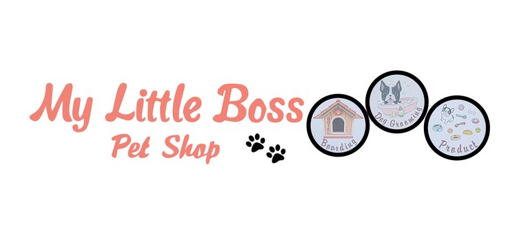My Little Boss Pet Shop
